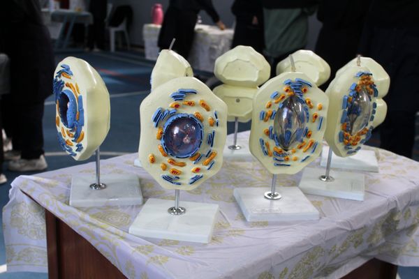 گرامیداشت روز آزمایشگاه در دبیرستان دخترانه شاهد غرویان وکیلی (۲۲)