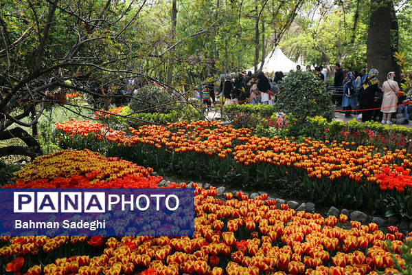 فصل لاله‌ها در بوستان باغ ایرانی