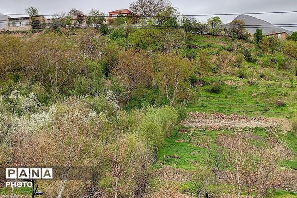 آلبوم تصویری از طبیعت زیبای شهر بار در اردیبهشت‌ماه  ۱۴۰۵ -1