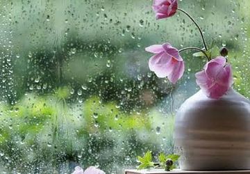 زندگی و آغاز آن