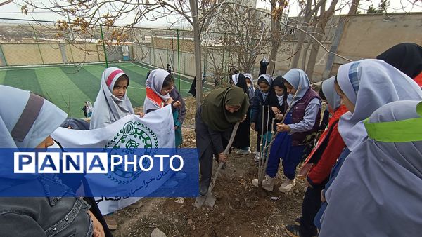 درختکاری در دبستان شهید ذکاوتی مایوان