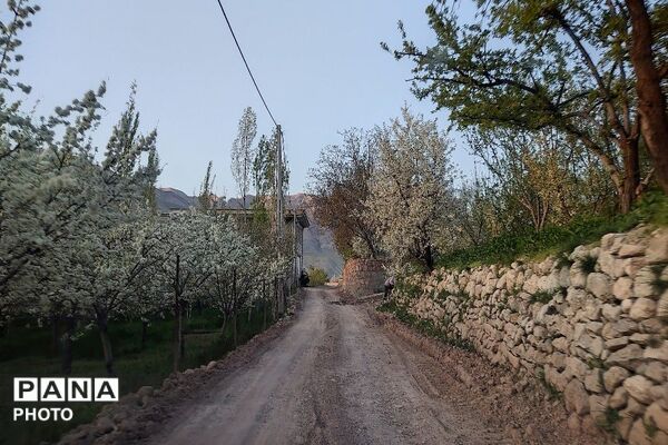 آلبوم تصویری از طبیعت زیبای شهر بار در اردیبهشت‌ماه  ۱۴۰۵ -1