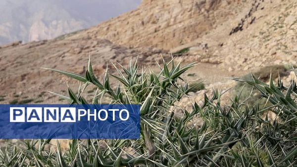  سرزمین عشق در دل سختی‌ها