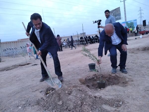پویش مردمی درخت یادگار در یزد 