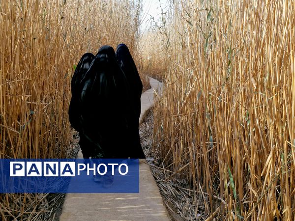 قدم بر خاک عشق