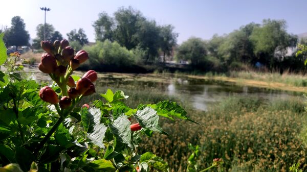 چشه برم، چشم‌انداز زیبایی‌ها در دل شهرستان لردگان