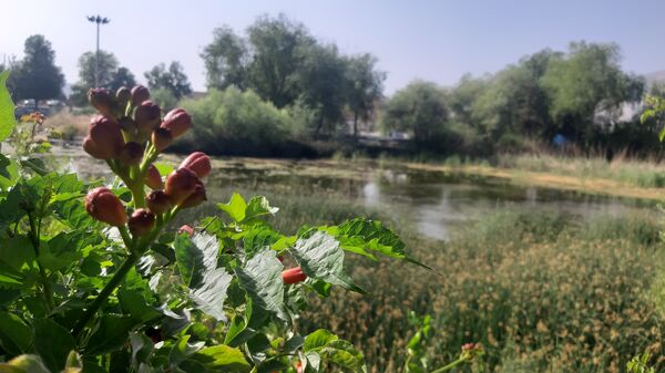 چشه برم، چشم‌انداز زیبایی‌ها در دل شهرستان لردگان