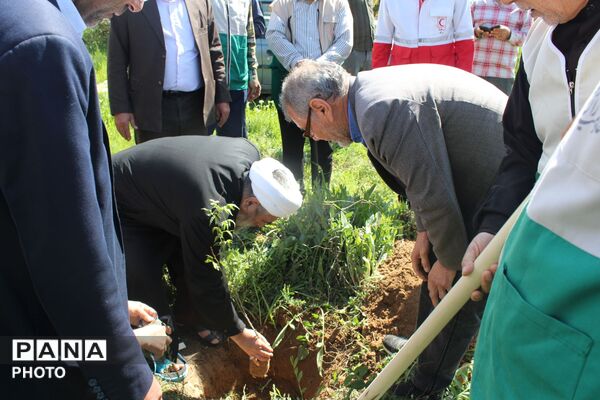 آیین درختکاری در سملقان