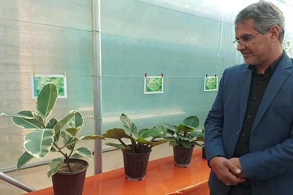 افتتاح گلخانه «باغ سلیمی» در دبستان شهید سلیمی جهرمی کهریزک 