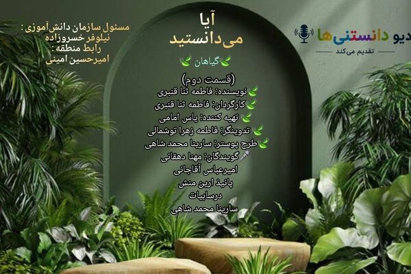شگفتی های پنهان در دنیای گیاهان