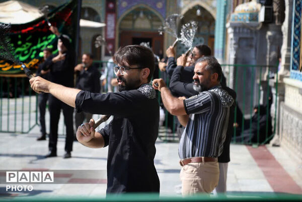 مراسم عزاداری ۲۸ صفر در حرم حضرت معصومه(س)