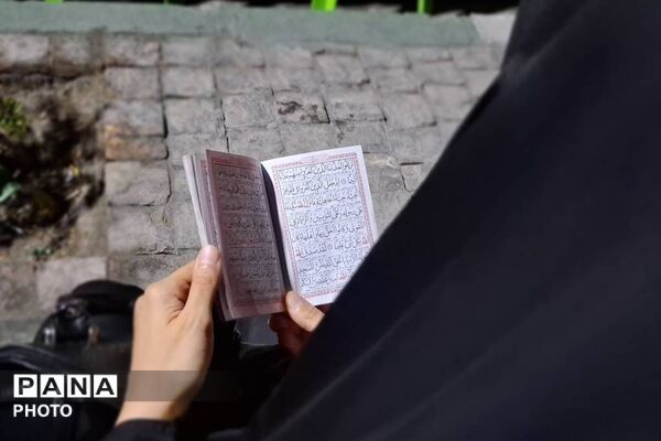 صالحیه، میزبان پرچم متبرک قمر بنی‌هاشم(ع)