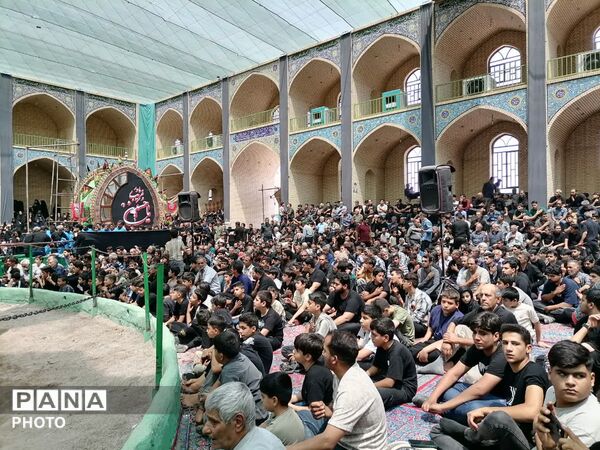 میدان توت اردکان، میزبان عزاداران امام حسن مجتبی(ع) از سراسر یزد