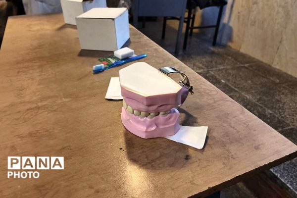 دوره آموزشی آموزگاران پایه مدارس ابتدایی شهر پرند