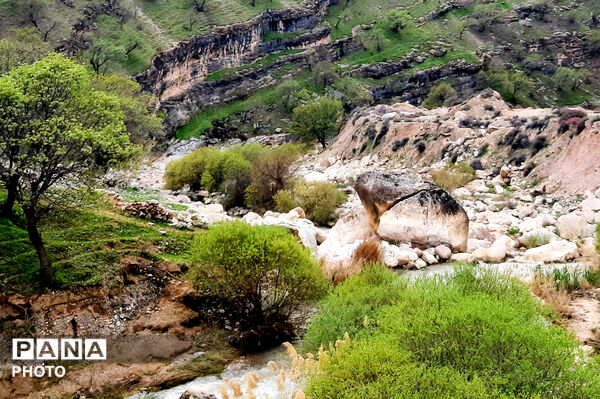 طبیعت روستای بیدله به هنگام بهار
