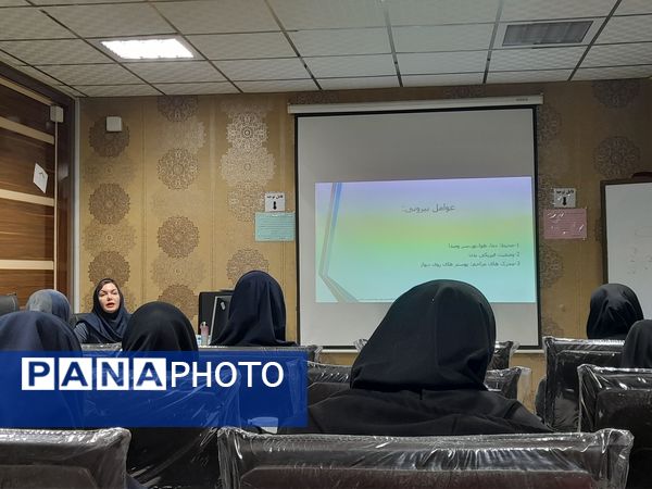 کارگاه توانمند‌سازی ویژه نمایندگان همیار مشاوران 