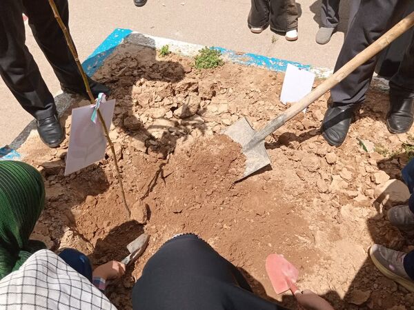 هر نهال، یک امید برای ایران
