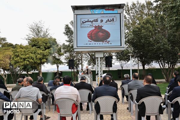 افتتاحیه بازارچه انار و کاپشن در شهر کهک