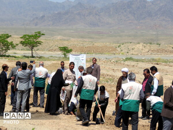 آیین "درخت سرو ایران" در شهرستان خلیل آباد 