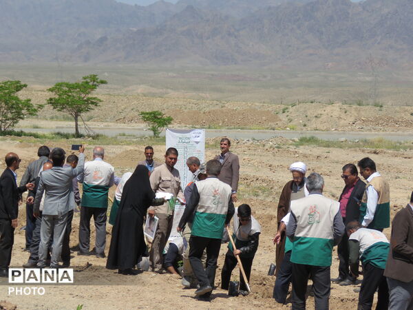 آیین "درخت سرو ایران" در شهرستان خلیل آباد 