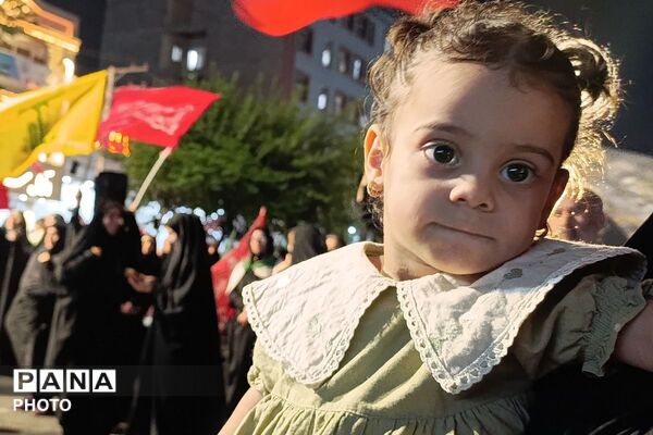 تجمعات شبانه شهرستان ملارد