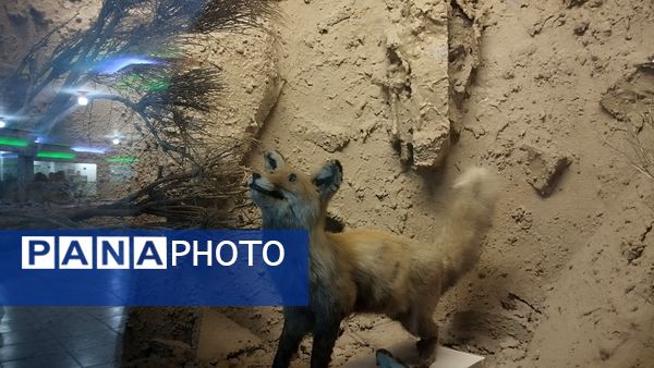 بازدید دانش‌آموزان ناحیه یک مشهد از پژوهش‌سرای علامه طباطبایی