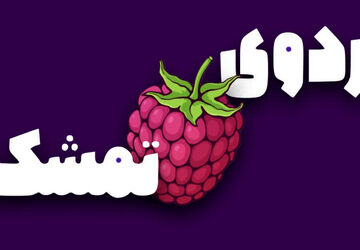 اردوی تمشک،فرصتی برای آموزش همراه با شادی و نشاط



