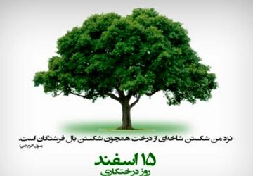 درخت و درختکاری نماد حیات و پایداری است