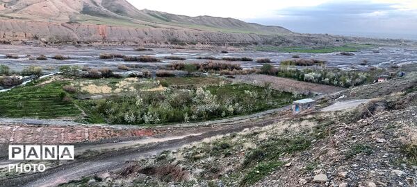 رویش شکوفه ها در روستای عیش آباد