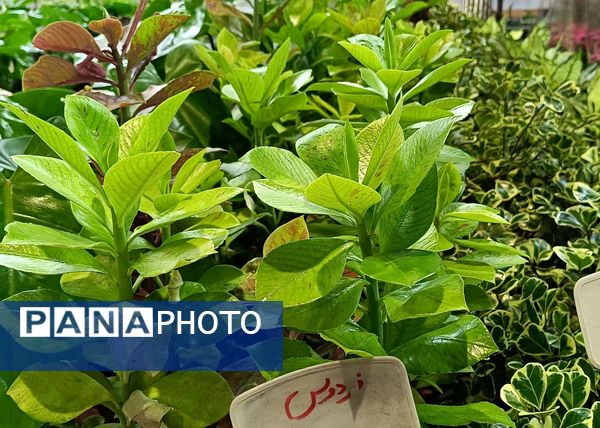 یازدهمین نمایشگاه گل و گیاه، صنایع دستی و سوغات اقوام ایرانی در اصفهان