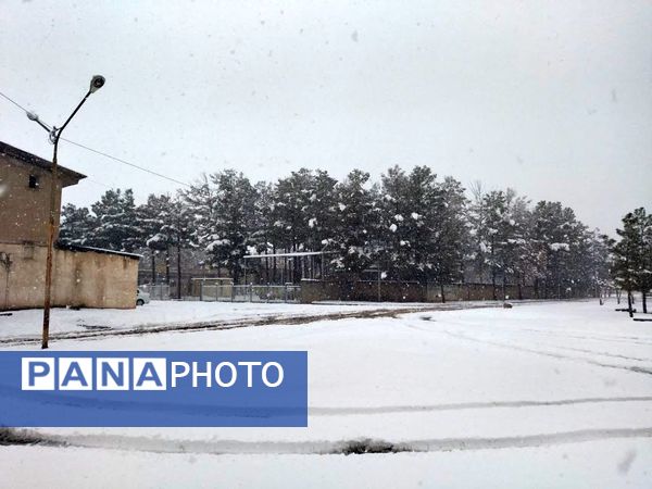 بارش برف در شهرستان تربت جام