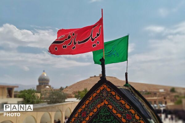 آیین سنتی نخل برداری در بنادکوک دیزه به مناسبت شهادت امام رضا (ع)