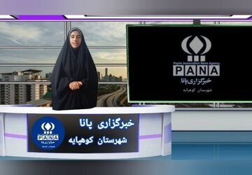 خبرنگار پانا از فعالیت‌های خود در سال گذشته می‌گوید