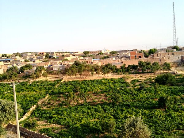 گزکوه، قطب انگور خراسان شمالی 