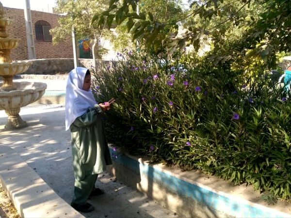 لمس طبیعت با حواس پنج‌گانه، سفری از شناخت تا شکرگزاری در هفته بهداشت روان
