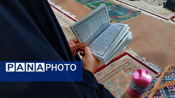 قرائت زیارت عاشورا توسط زائران مسجد جمکران در گلزار شهدای یاسوج