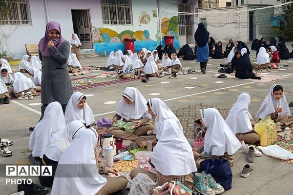  صبحانه سلامت در روز جهانی تخم مرغ