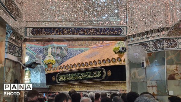 حرم خواهر امام مهربانی غرق در اندوه برادرشد