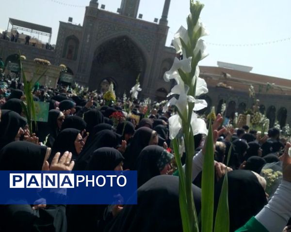 عشق و ارادت زائران حضرت معصومه(س) در قالب کاروان نمادین ورود ایشان به قم