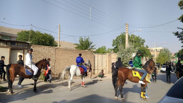 علم‌ گردانی آیین‌ هر ساله‌ شهر وردنجان