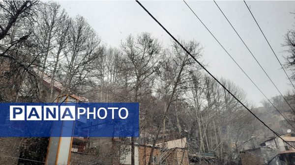 بارش نعمت‌های خداوند در آسمان مشهد