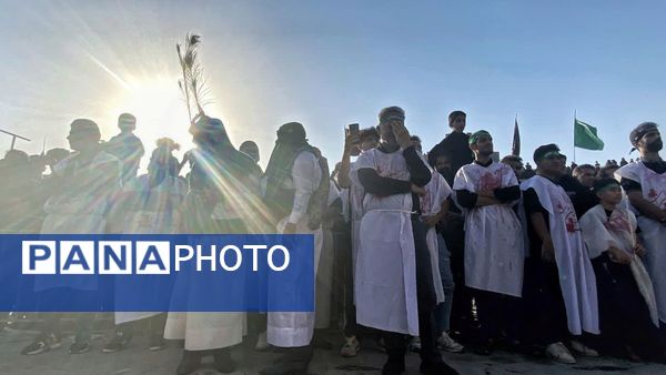 مجموعه عکس«علم از دست علمدار نیفتاده است هنوز»