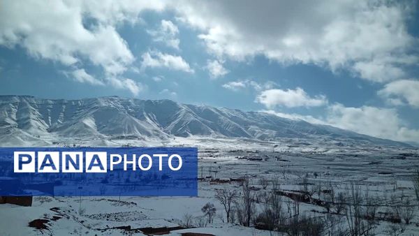 نسر در آغوش برف بهاری؛ زیبایی طبیعت دوچندان شد 