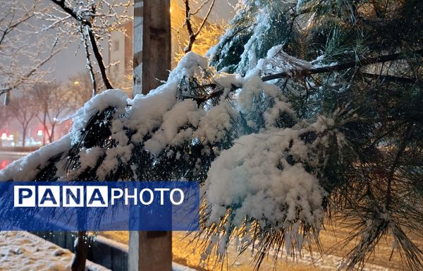 رحمت الهی برف بهاری بر دیار سلسله الذهب