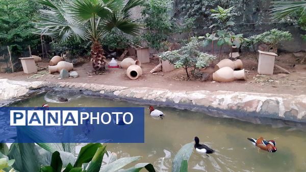 باغ پرندگان قم: جاذبه‌ای بی‌نظیر در قلب کشور