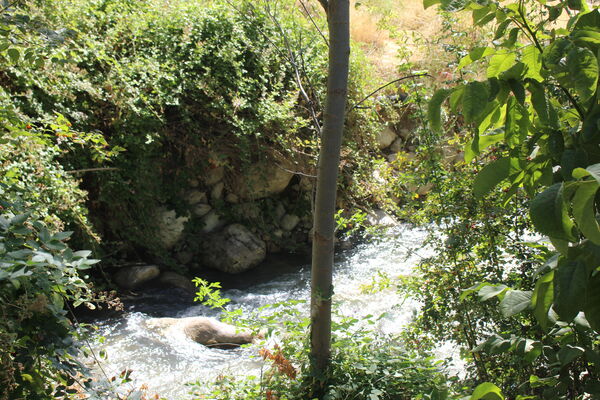 روستای کریک، ماسوله جنوب