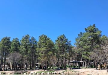 پارک جنگلی انقلاب زرقان بزرگنرین پارک مصنوعی استان فارس 