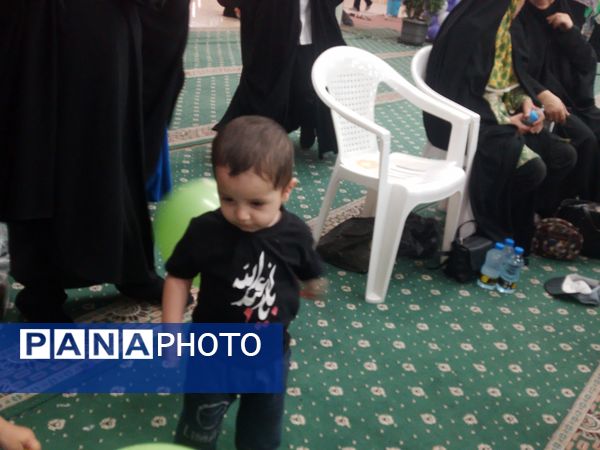 جشن بزرگ بانوان علوی در شهر بیرجند