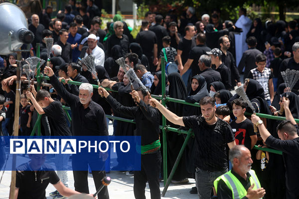 عزاداری تاسوعای حسینی(ع) در حرم حضرت معصومه(س)