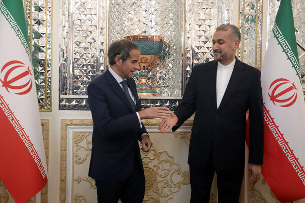 دیدار مدیرکل آژانس بین‌المللی انرژی اتمی با امیرعبداللهیان
